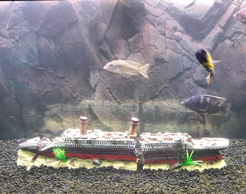 SLOCME Aquarium Titanic Shipwreck Decorations - Resin Material Ship Decorationsï¼ŒFish Tank Sunken Ship Ornament Aquarium Environment Friendly Decorations - Image 3
